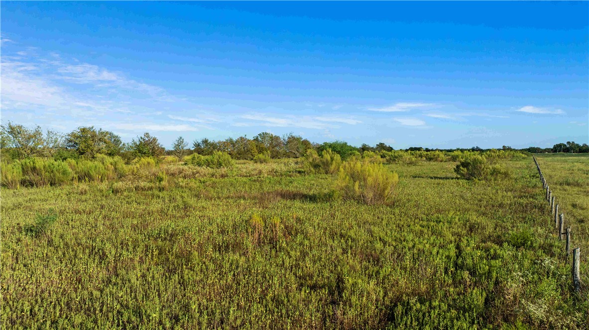 Tbd County Road 216 Property Photo 19