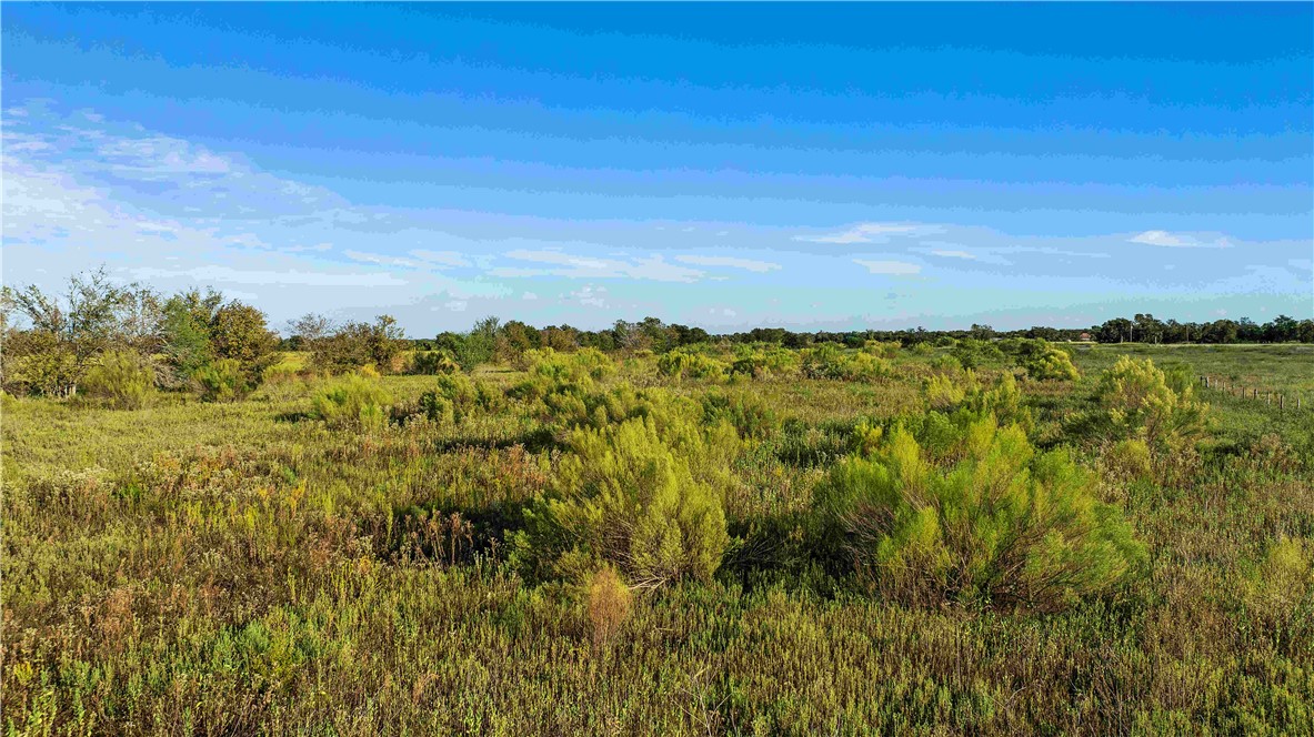 Tbd County Road 216 Property Photo 20