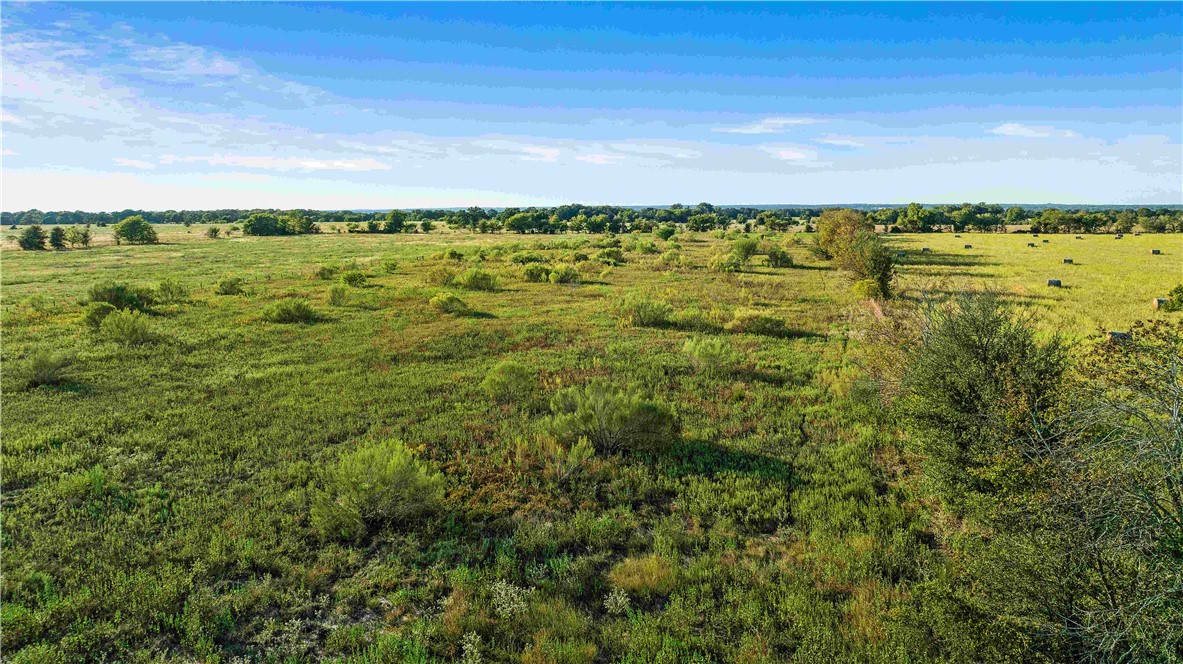 Tbd County Road 216 Property Photo 22