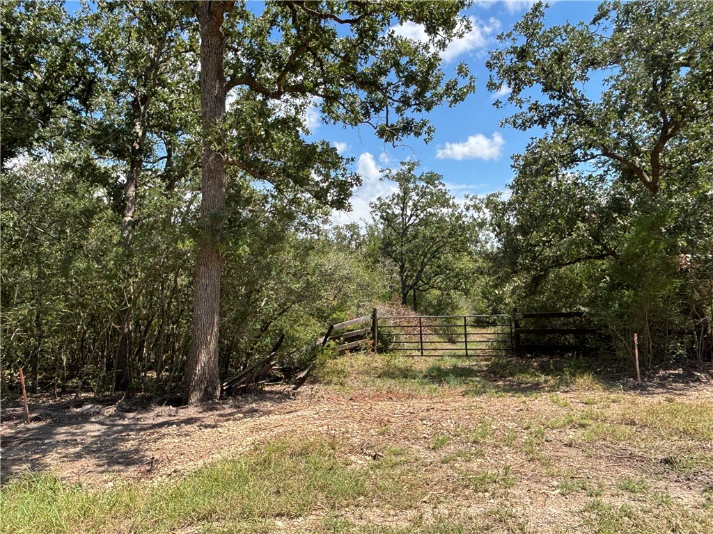 Lot 188 & 189 Burr Oak Ln Property Photo 3