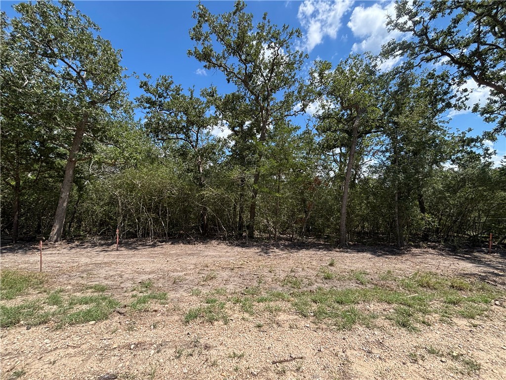 Lot 188 & 189 Burr Oak Ln Property Photo 4