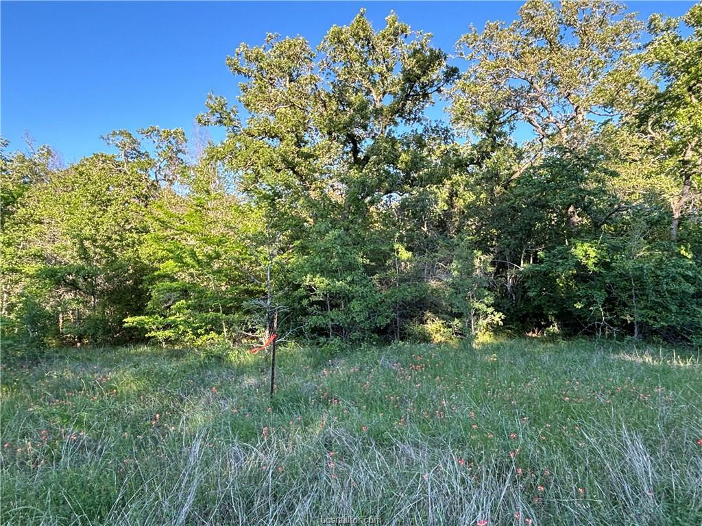 Lot 188 & 189 Burr Oak Ln Property Photo 8