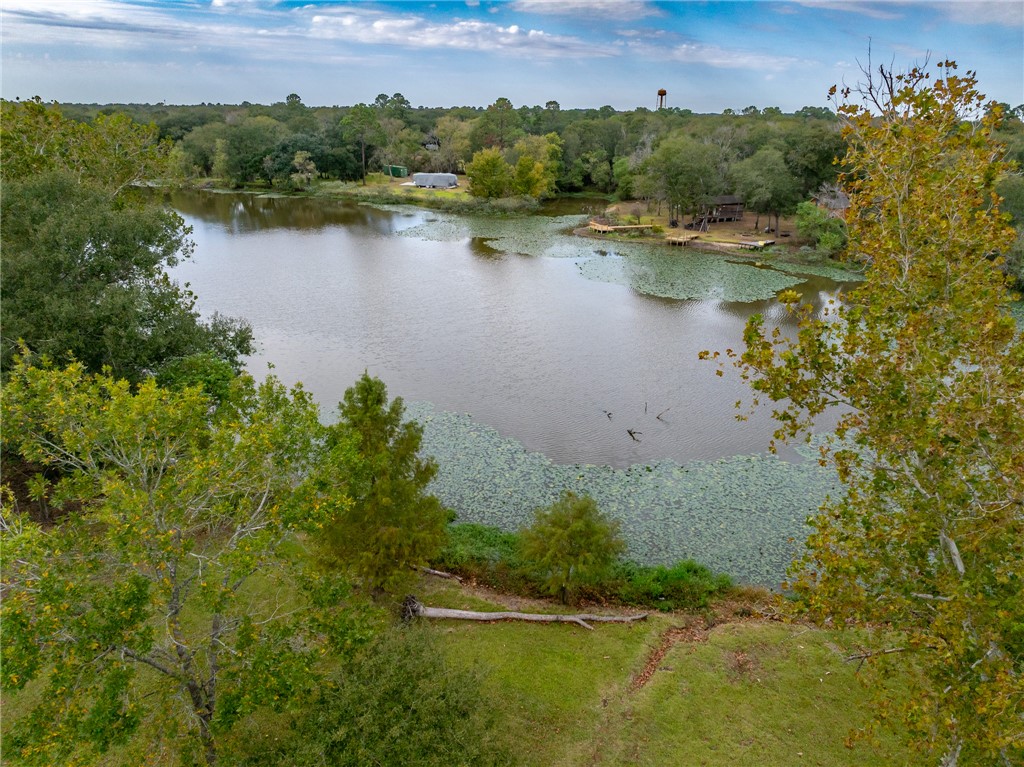 38068 S Bonnie Lake Dr Property Photo
