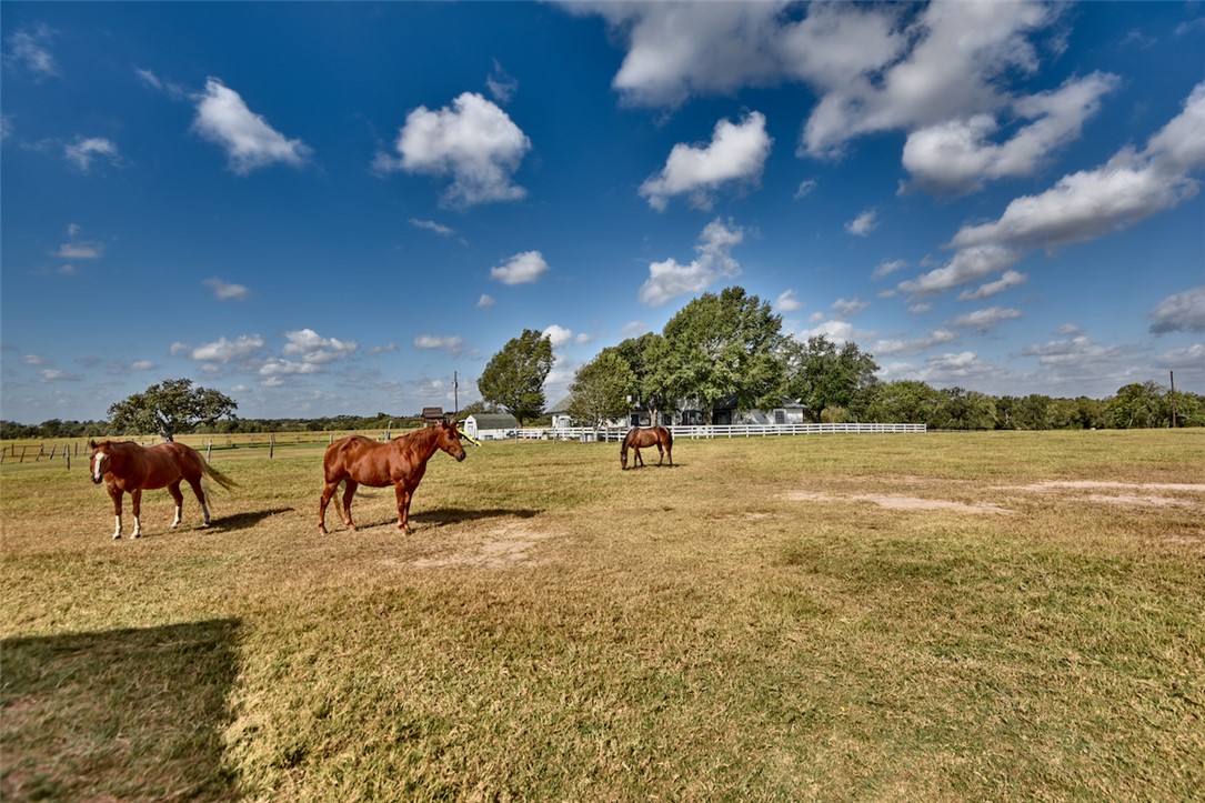 3151 Running River Lane Property Photo 39