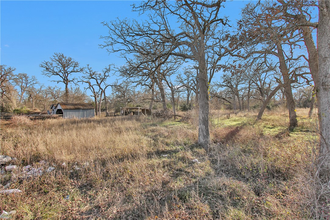 24248 State Highway 6 S Property Photo 39