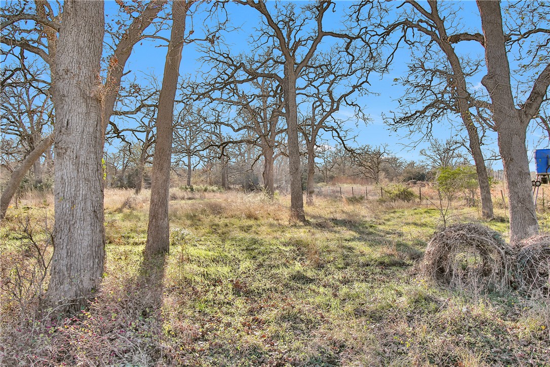 24248 State Highway 6 S Property Photo 40