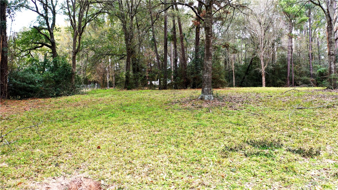 Tbd Lakeshore Drive Property Photo 2
