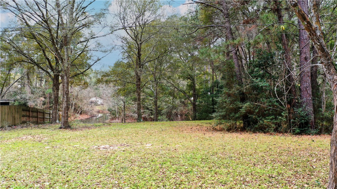 Tbd Lakeshore Drive Property Photo 4