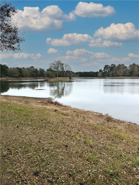 Tbd Lakeshore Drive Property Photo 7