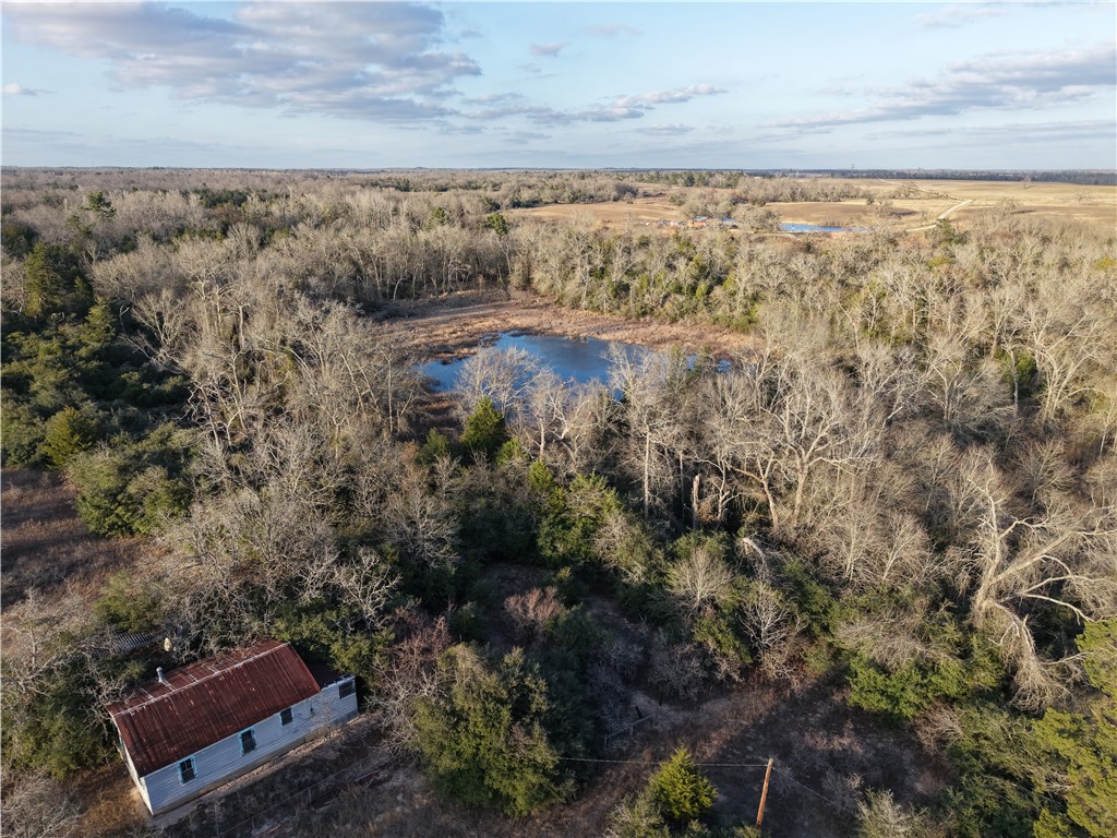 60acres Tbd Cr 417 Property Photo 1
