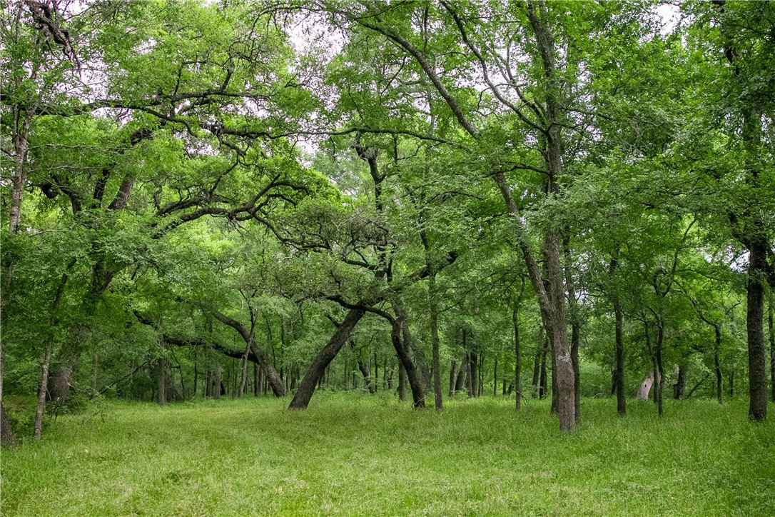 Tbd Cr 443 (tract 2: +/-250 Acres) Property Photo 6