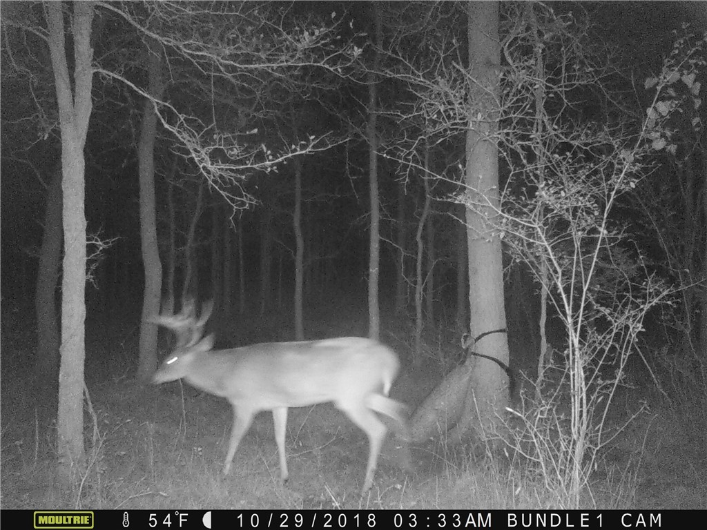 Tbd Cr 443 (tract 2: +/-250 Acres) Property Photo 7