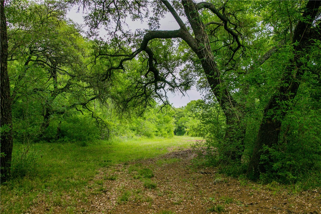 Tbd Cr 443 (tract 2: +/-250 Acres) Property Photo 11
