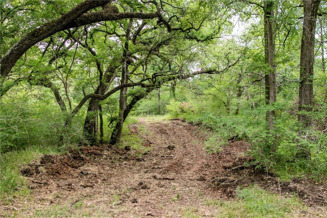 Tbd Cr 443 (tract 2: +/-250 Acres) Property Photo 12
