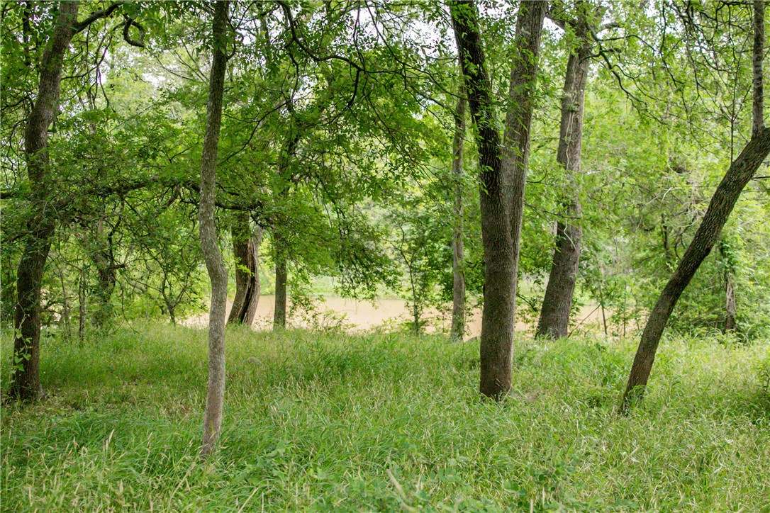 Tbd Cr 443 (tract 2: +/-250 Acres) Property Photo 13