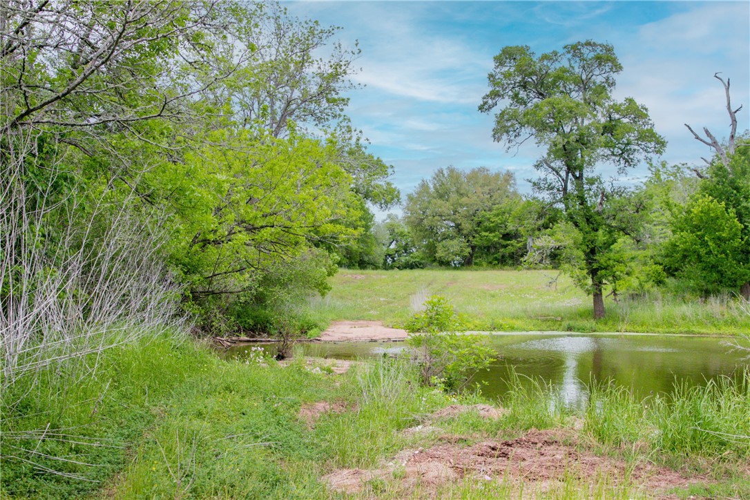 Tbd Cr 443 (tract 2: +/-250 Acres) Property Photo 17