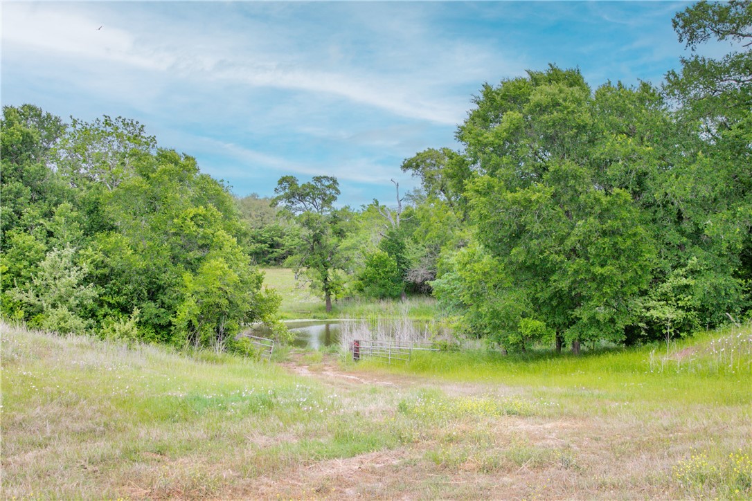 Tbd Cr 443 (tract 2: +/-250 Acres) Property Photo 18