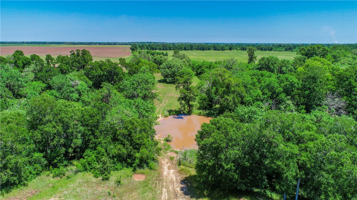 Tbd Cr 443 (tract 2: +/-250 Acres) Property Photo 21