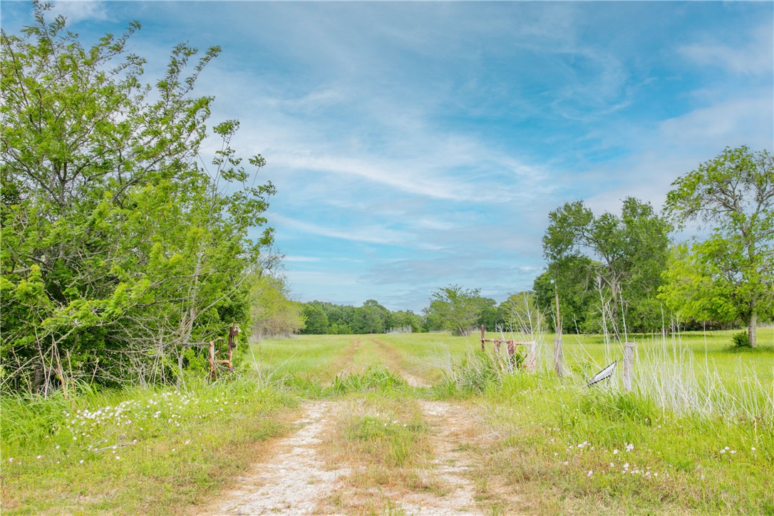 Tbd Cr 443 (tract 2: +/-250 Acres) Property Photo 22