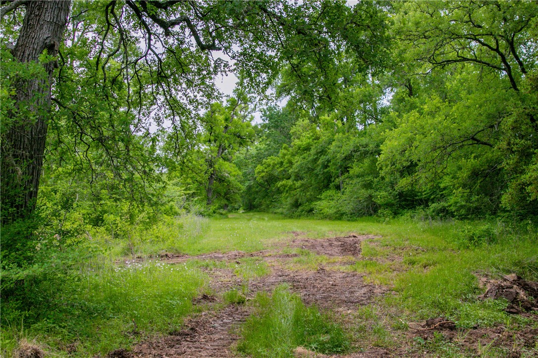 Tbd Cr 443 (tract 2: +/-250 Acres) Property Photo 33
