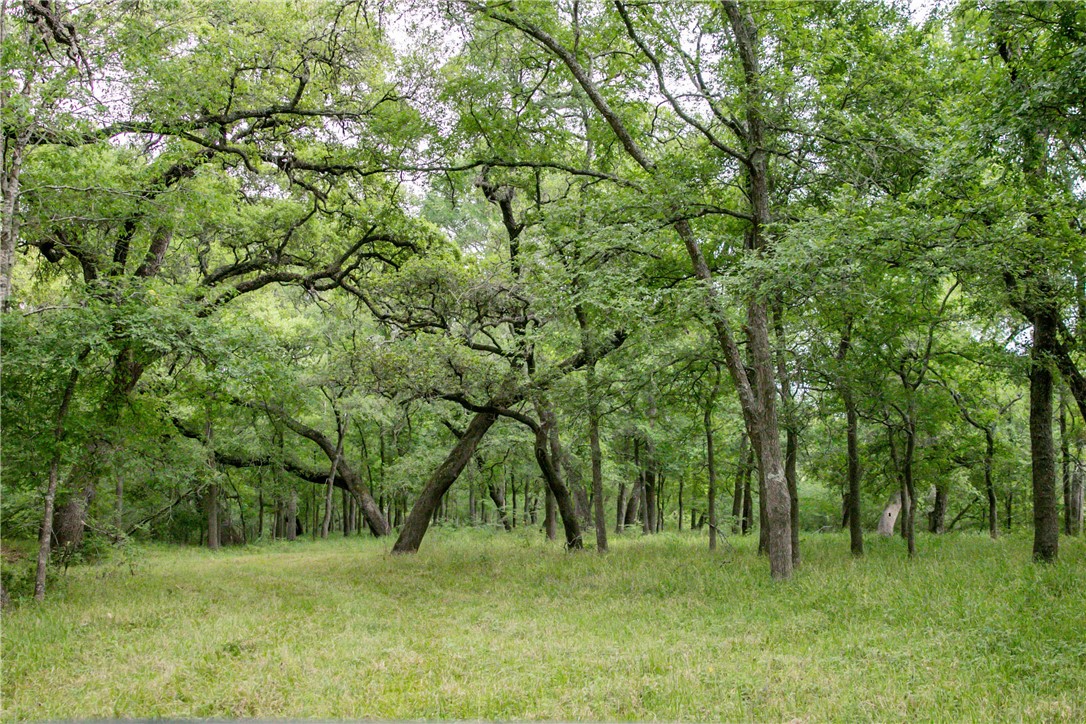 Tbd Cr 443 (tract 2: +/-250 Acres) Property Photo 34