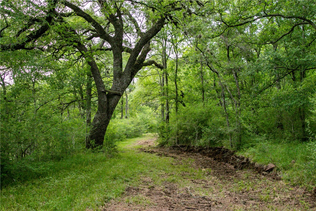 Tbd Cr 443 (tract 2: +/-250 Acres) Property Photo 35