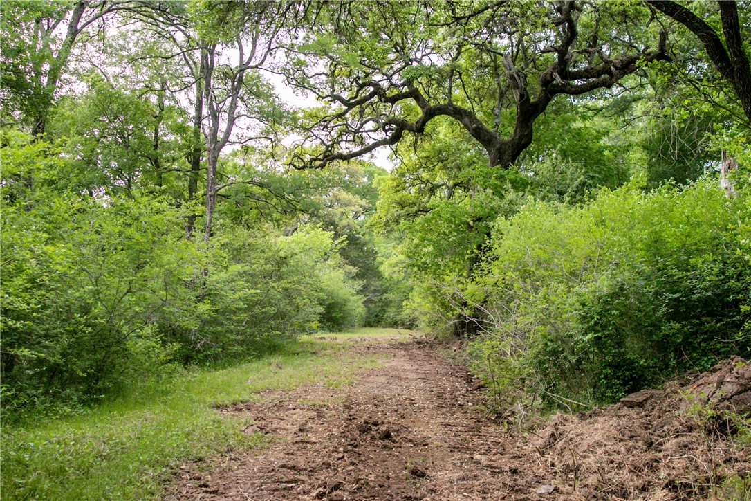 Tbd Cr 443 (tract 2: +/-250 Acres) Property Photo 36