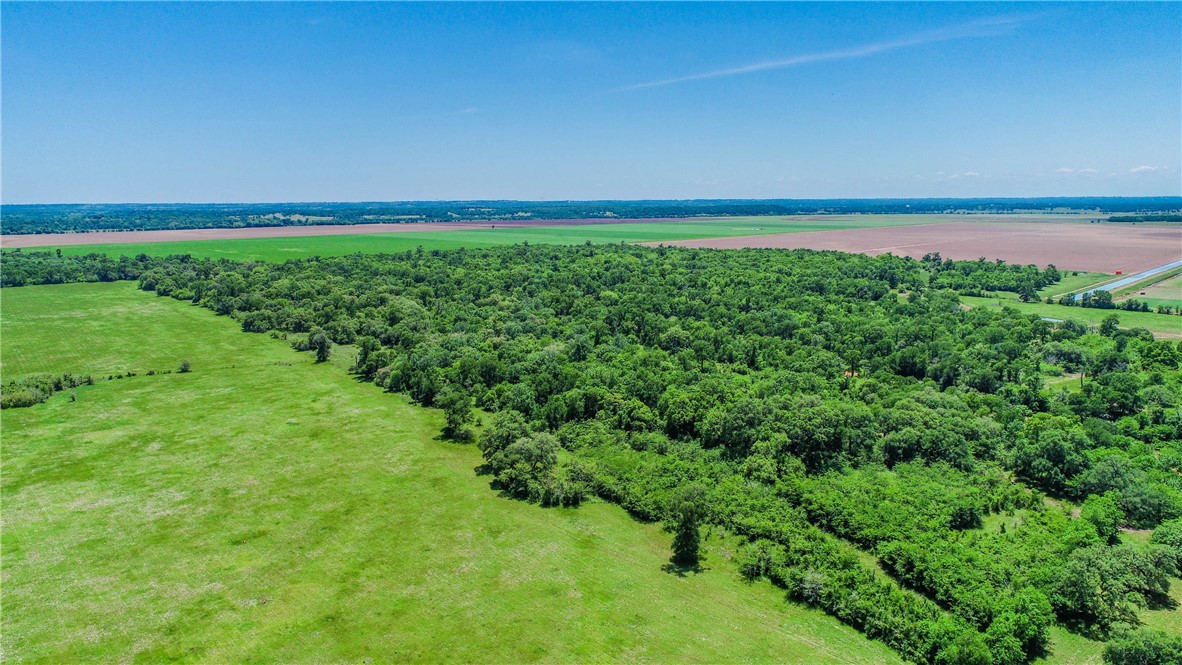 Tbd Cr 443 (tract 2: +/-250 Acres) Property Photo 39