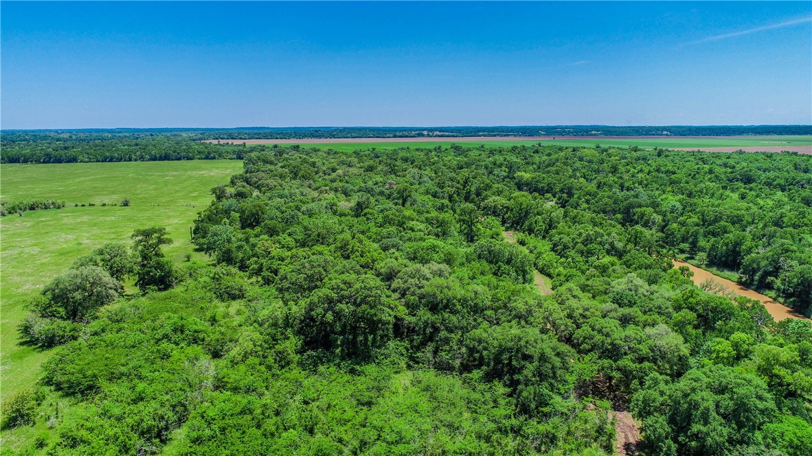 Tbd Cr 443 (tract 2: +/-250 Acres) Property Photo 40