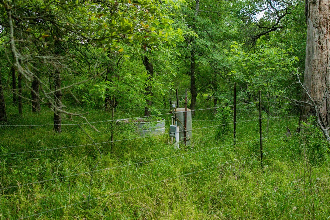 Tbd Cr 443 (tract 2: +/-250 Acres) Property Photo 45
