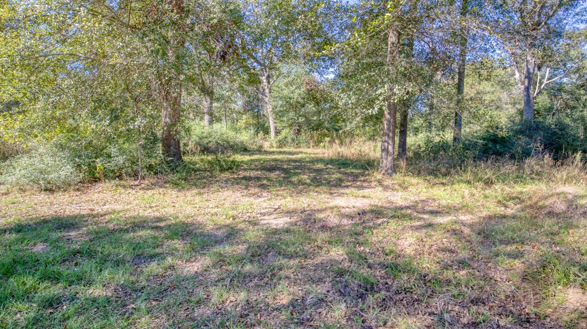 9541 Korthauer Road Property Photo 25