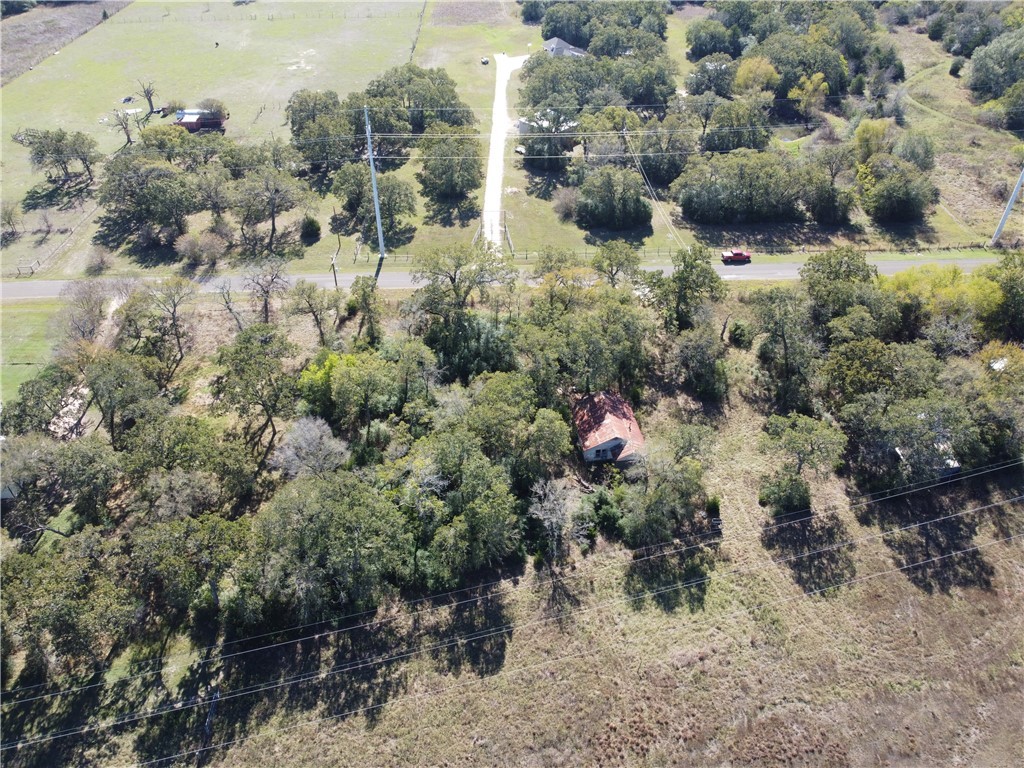 11850 Roese Road Property Photo 13