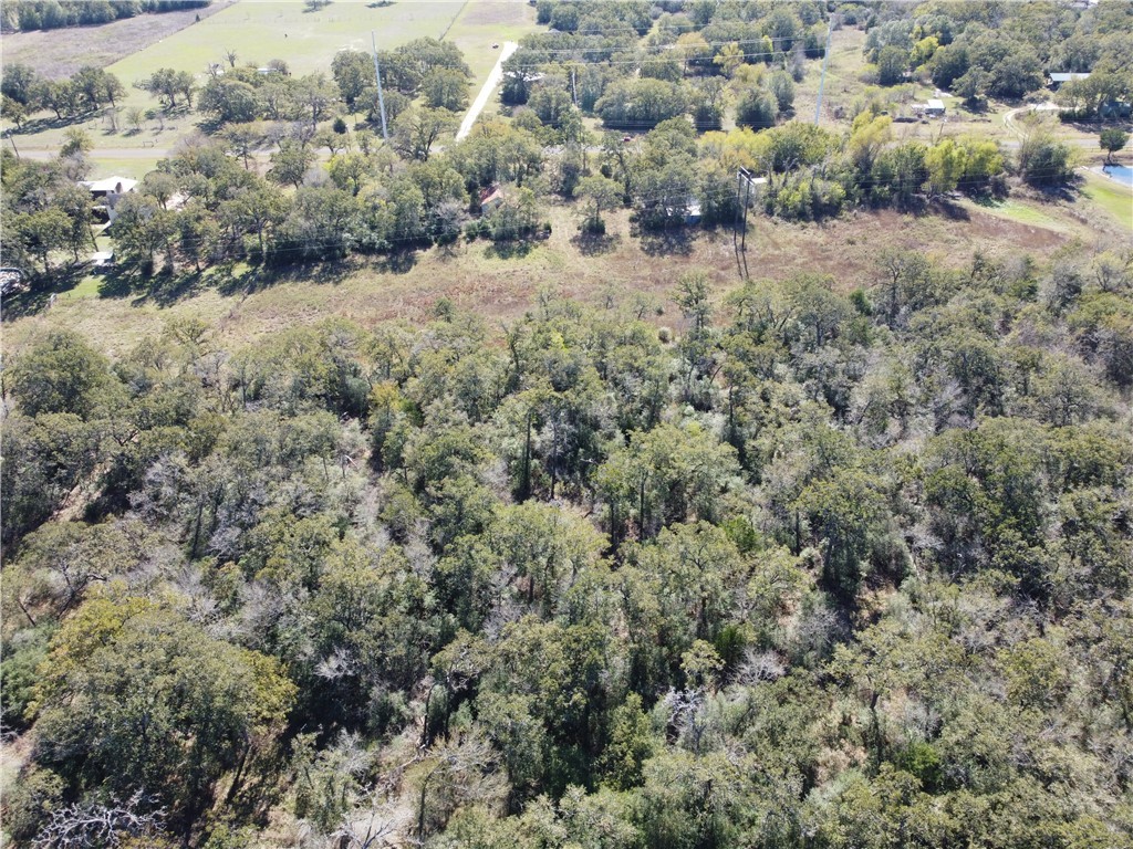 11850 Roese Road Property Photo 15