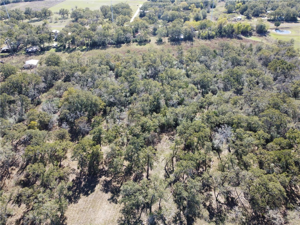 11850 Roese Road Property Photo 16