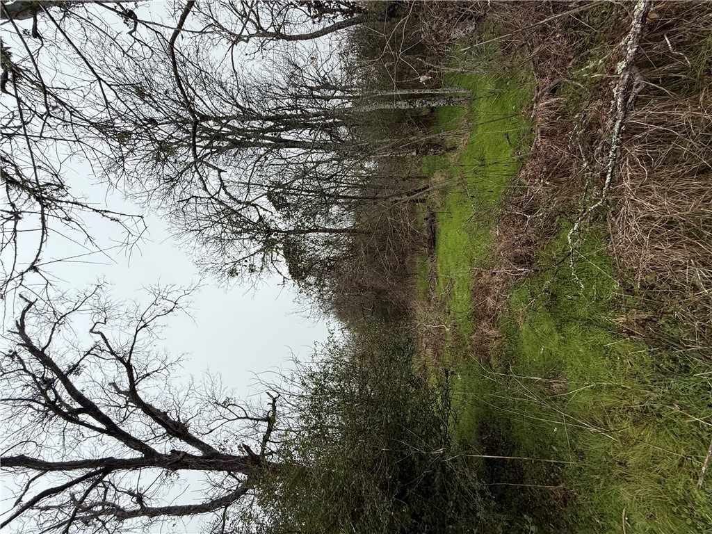 0 Mickens St Property Photo 5