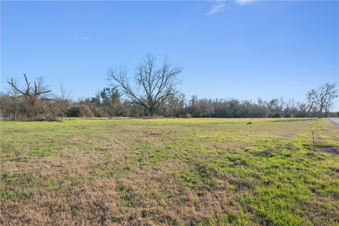 231 Dewey Lane Property Photo 13
