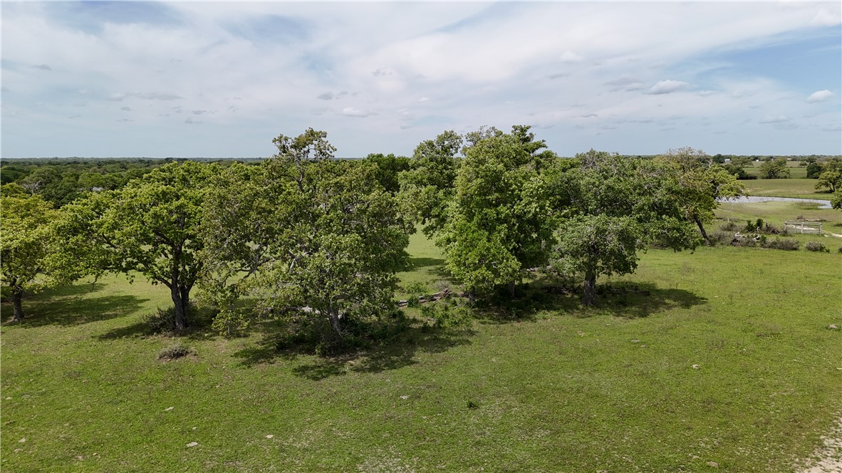 Tbd Fm 60 (tract 7) Property Photo 5