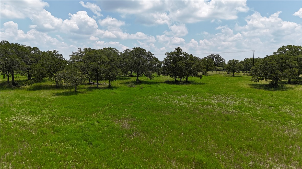 Tbd Fm 60 (tract 7) Property Photo 6