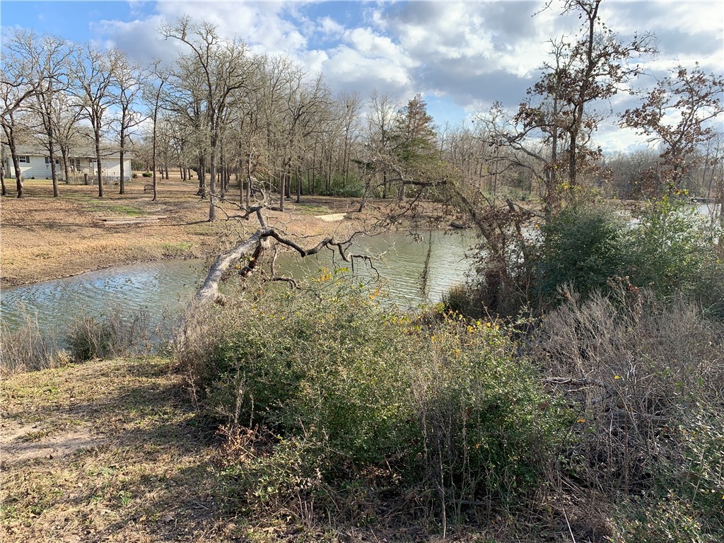 1505 Pin Tail Cove Property Photo 1