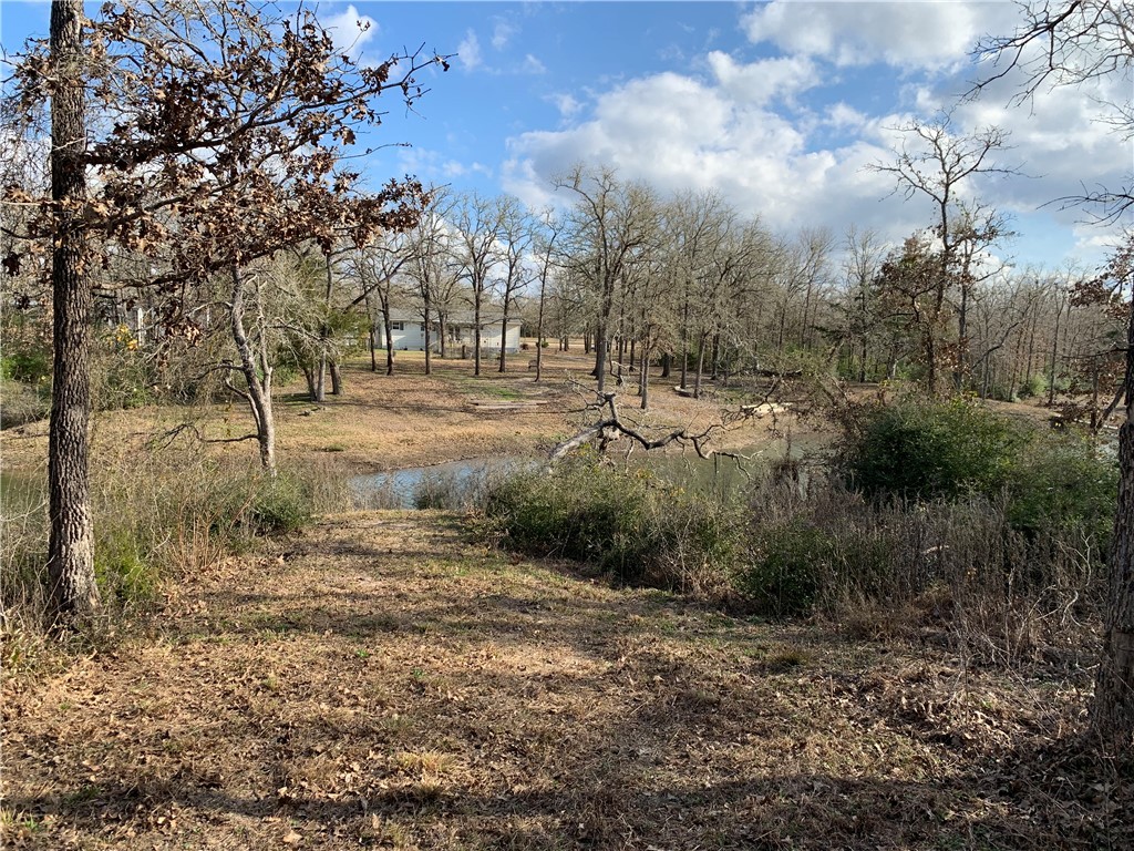 1505 Pin Tail Cove Property Photo 2