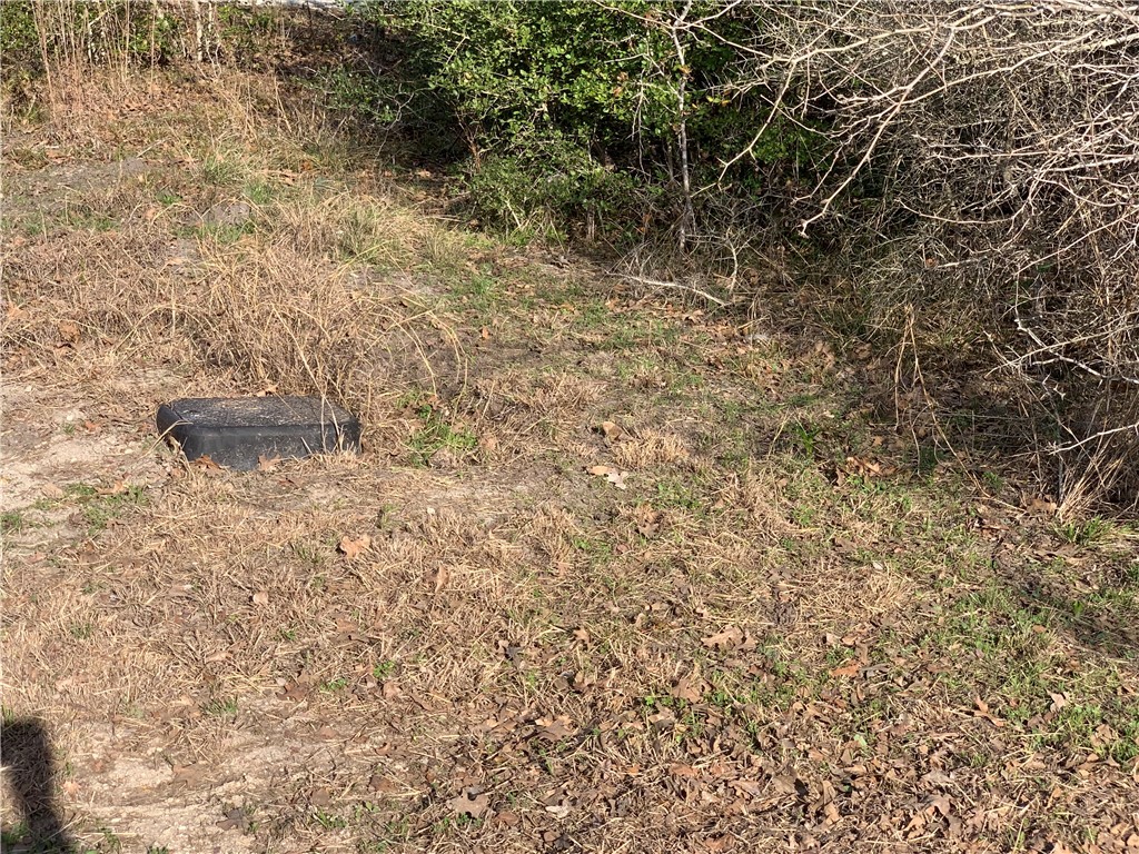 1505 Pin Tail Cove Property Photo 3