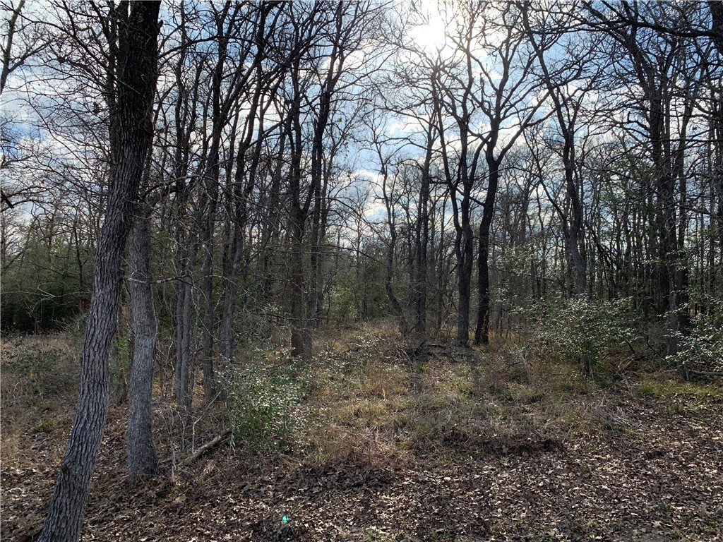 1505 Pin Tail Cove Property Photo 4