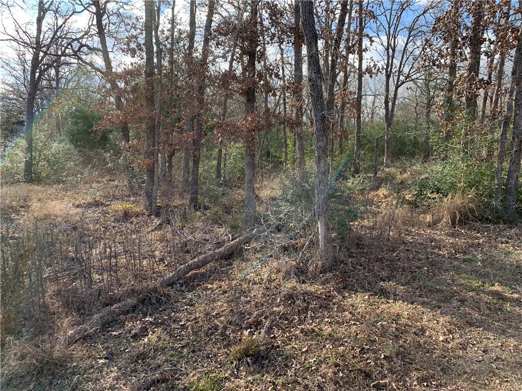 1505 Pin Tail Cove Property Photo 5