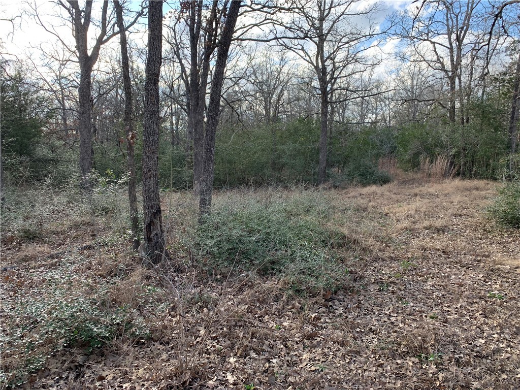 1505 Pin Tail Cove Property Photo 7