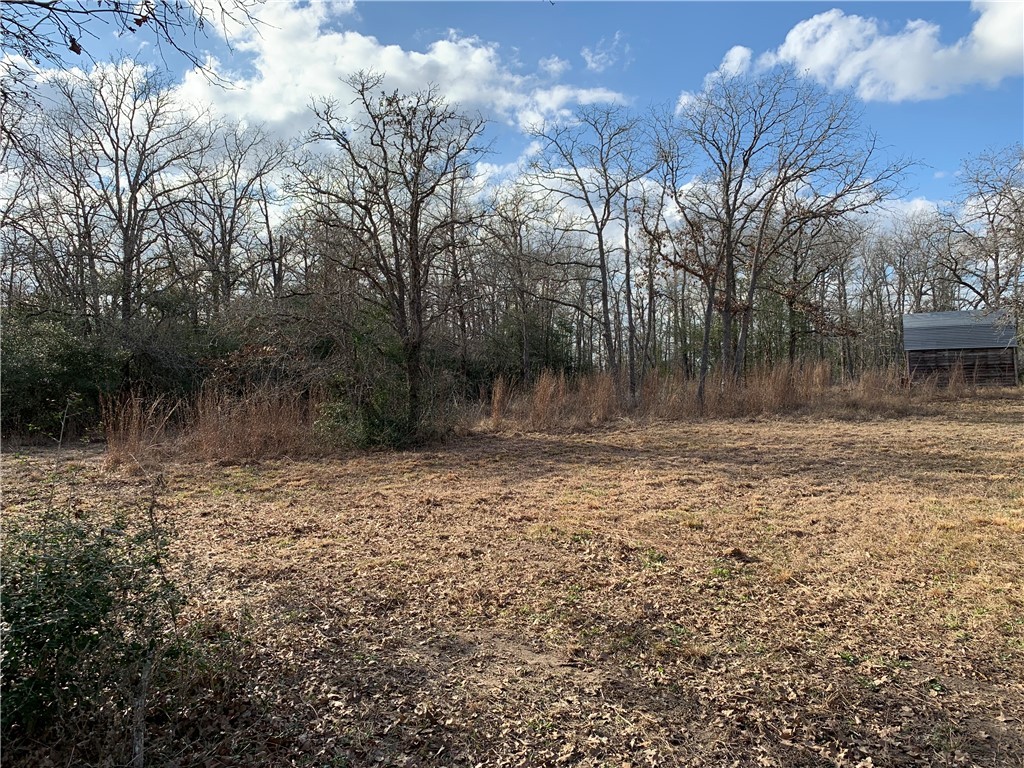 1505 Pin Tail Cove Property Photo 8