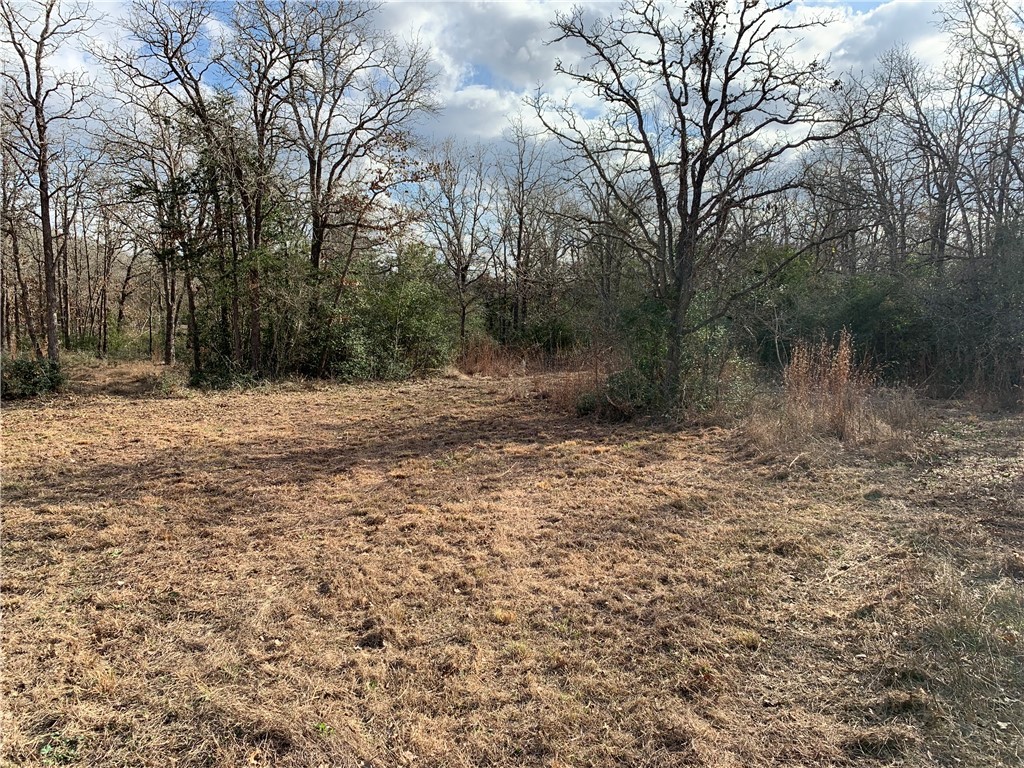 1505 Pin Tail Cove Property Photo 9