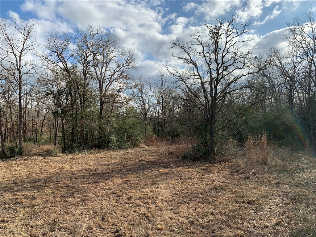 1505 Pin Tail Cove Property Photo 10