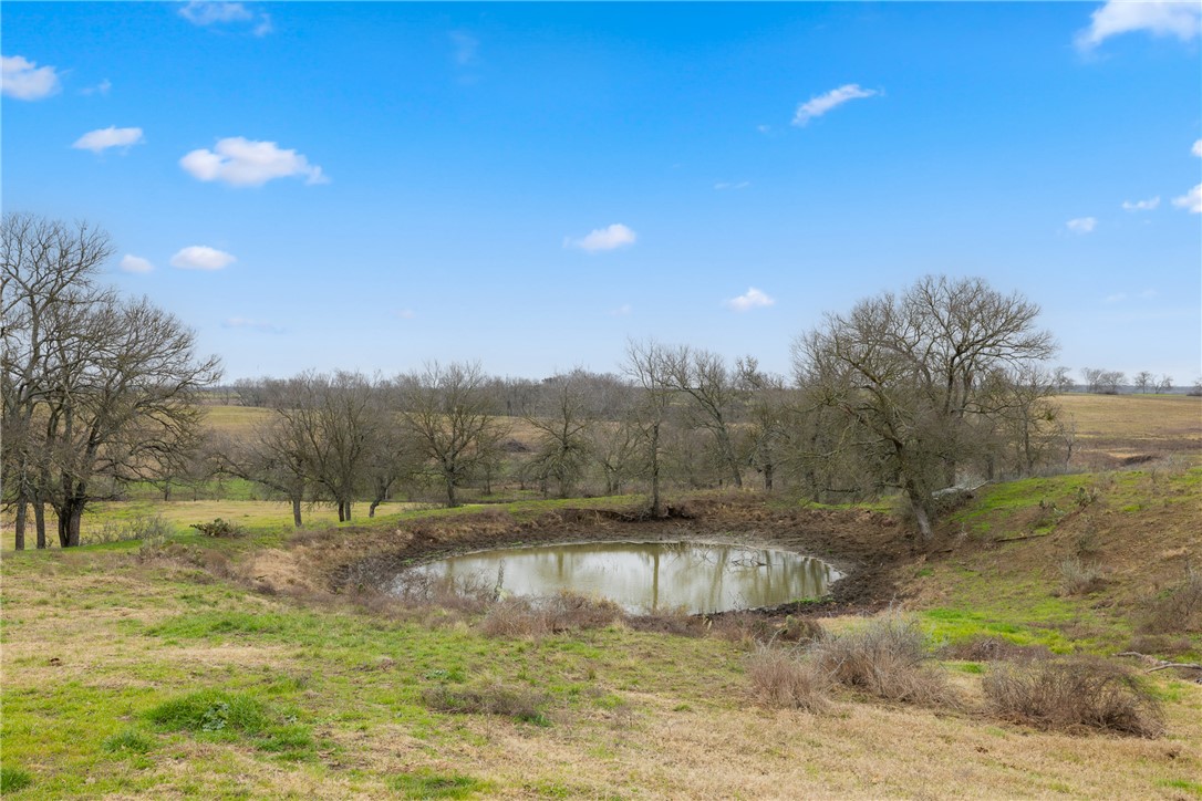 2061 Fm 1445 Property Photo 12