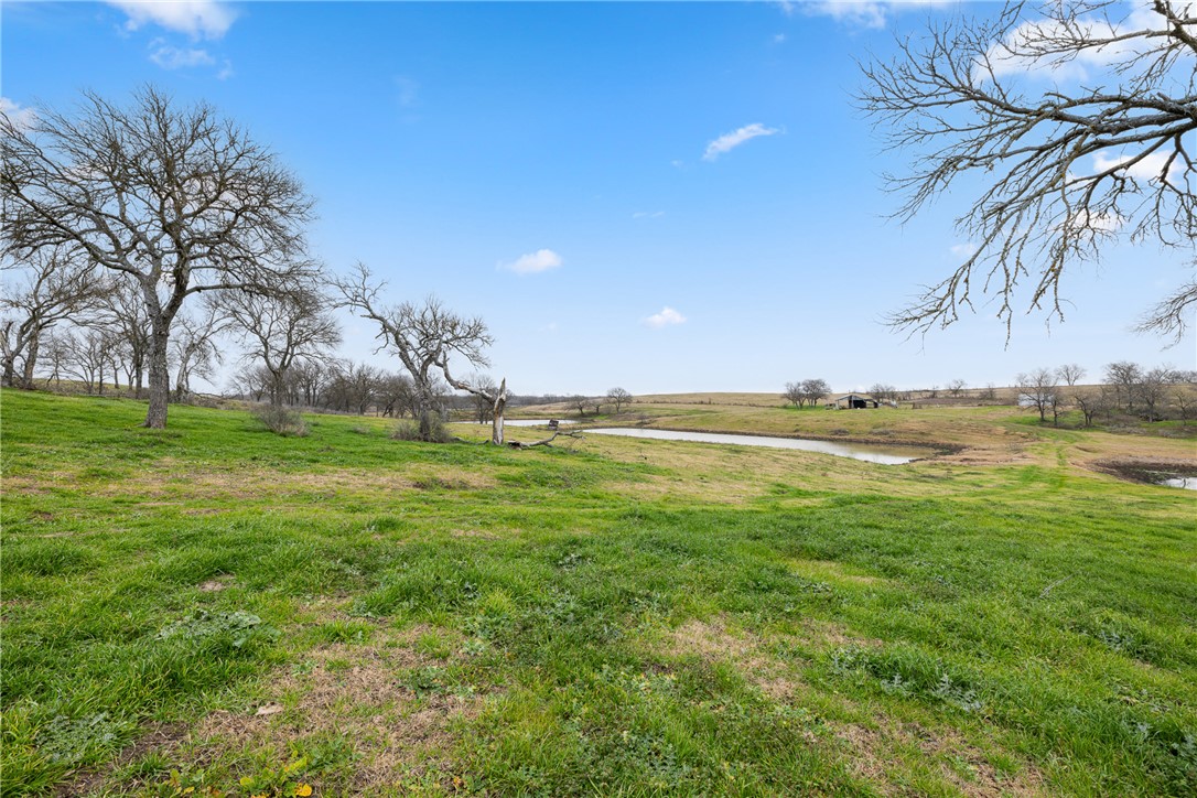 2061 Fm 1445 Property Photo 13
