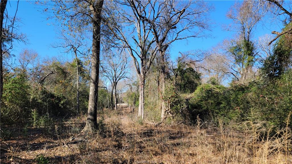 Lot 25 High Meadow Trail Property Photo 22